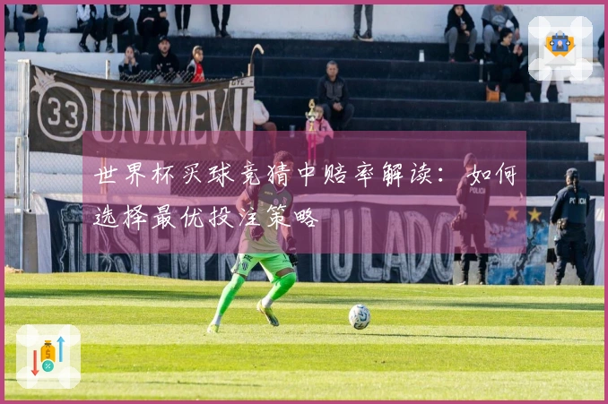 世界杯买球竞猜中赔率解读：如何选择最优投注策略