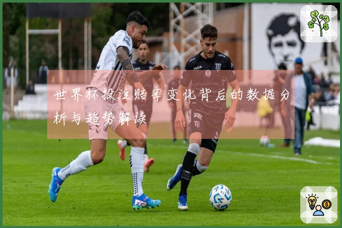 世界杯投注赔率变化背后的数据分析与趋势解读